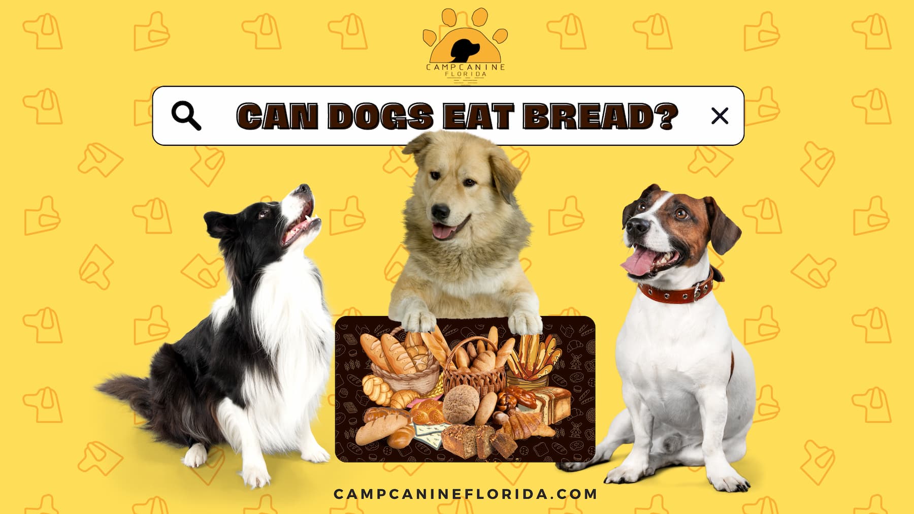 can dogs eat bread
