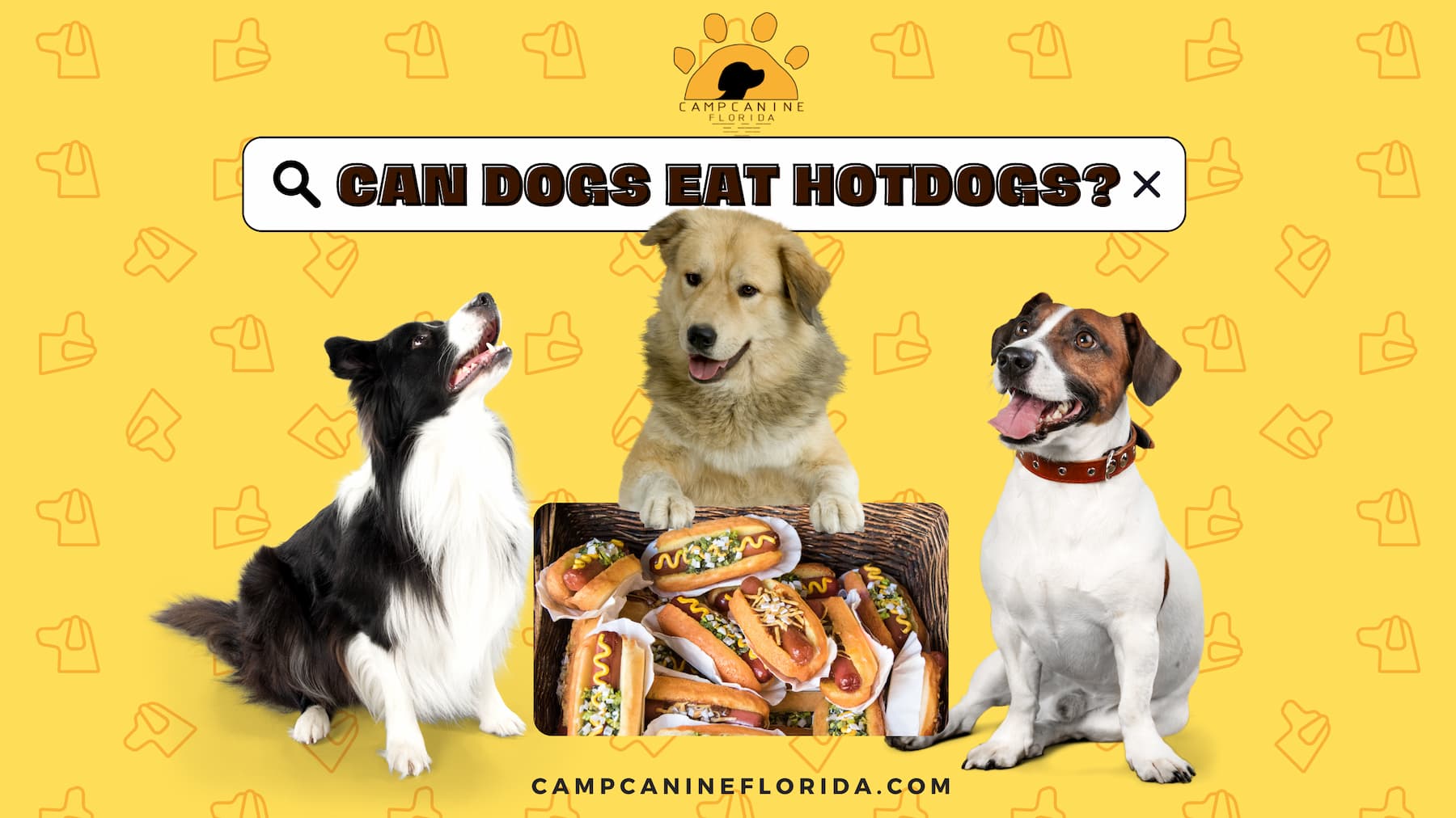 can dogs eat hotdogs