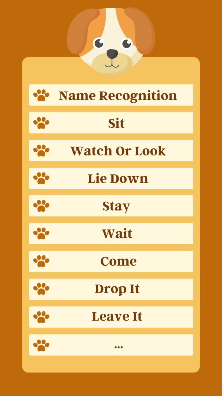 Dog Training Commands List 2024 Basic to Advanced