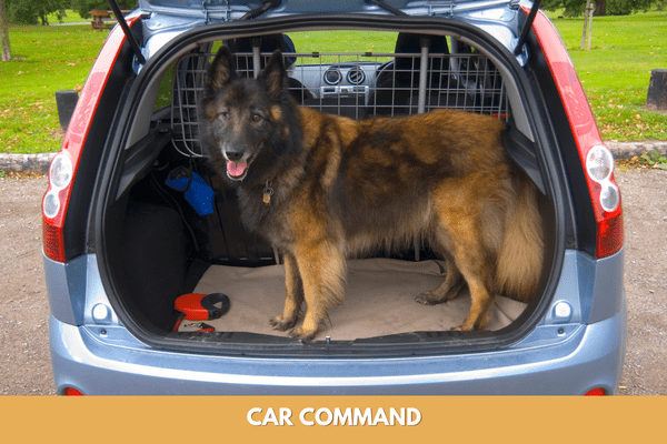 Dog training commands: car command