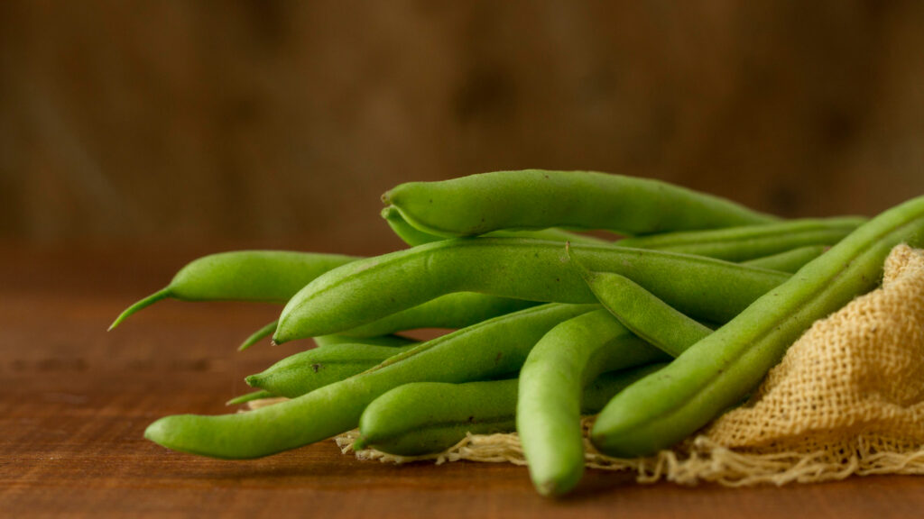 Can Dogs Eat Green Beans? Are Green Beans Good For Dogs?