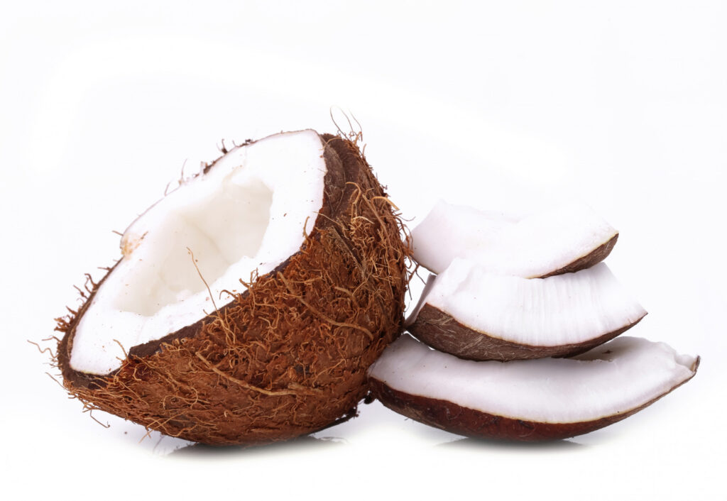 Can Dogs Eat Coconut? Here's What You Need to Know Before Sharing This Treat