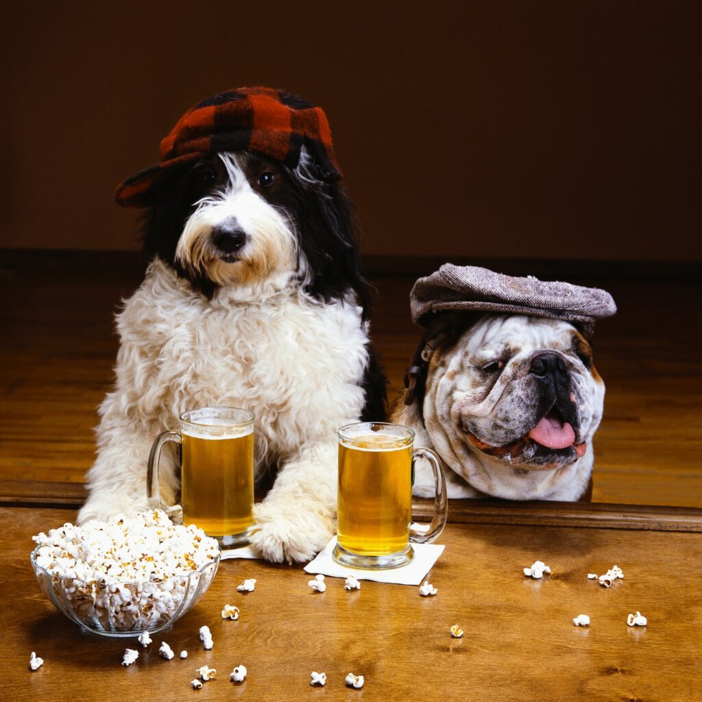 Can Dogs Drink Beer? A Vet's Guide to Safe Alcohol Consumption for Dog