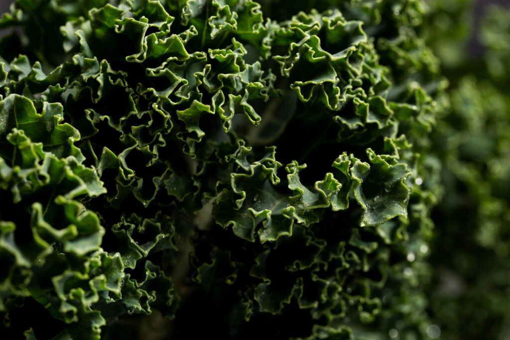 <strong>Can Dogs Eat Kale? Discover the Benefits and Risks of Feeding Kale to Your Furry Friend</strong>