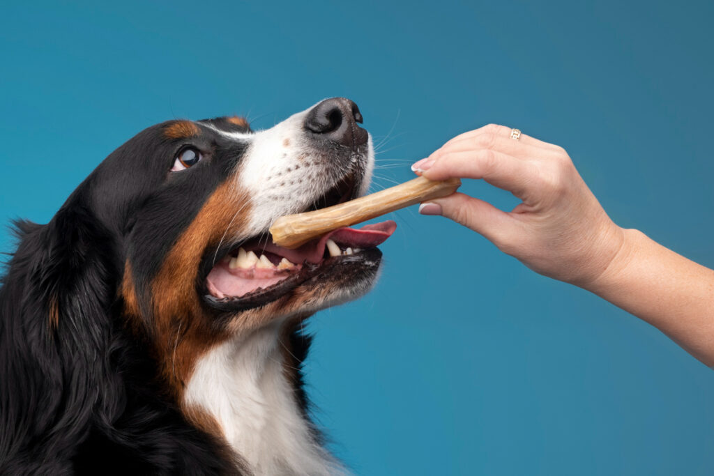 The Truth About Can Dogs Eat Chicken Bones Raw - Is it Safe or Dangerous?