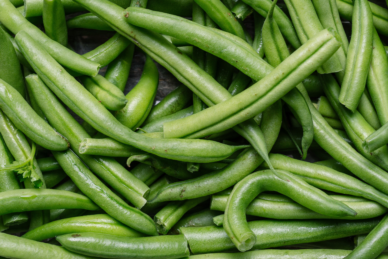 The Ultimate Guide: Can Dogs Eat Green Beans?