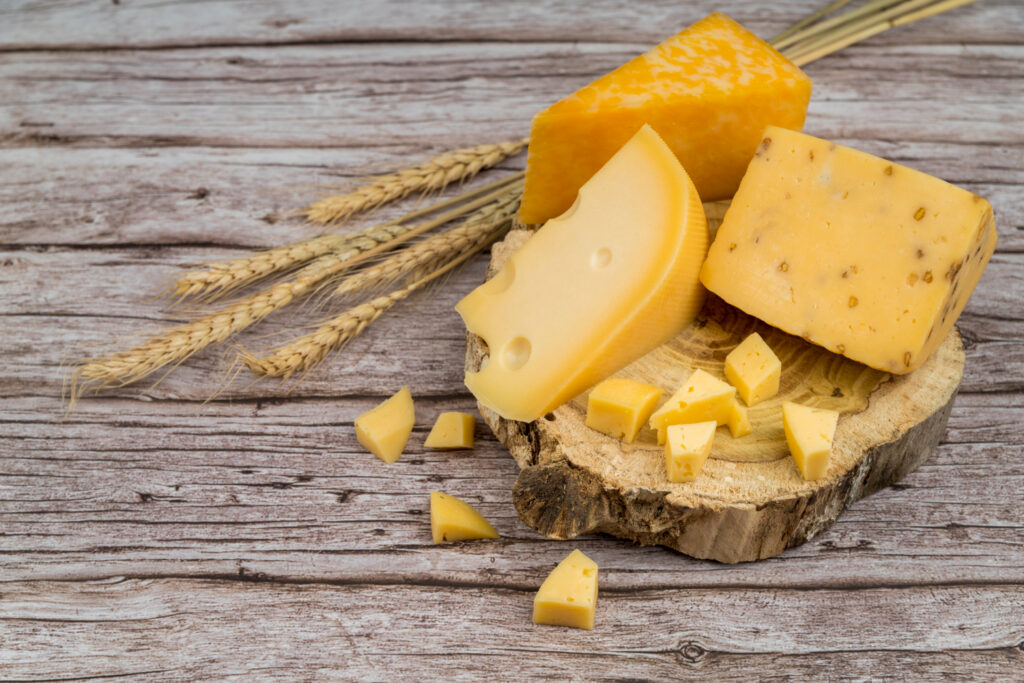 Can Dogs Eat Cheese? Get the Facts and Keep Your Furry Friend Safe and Healthy!