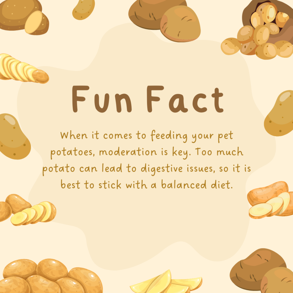 Can Dogs Eat Potatoes? Are Potatoes Good For Dogs?