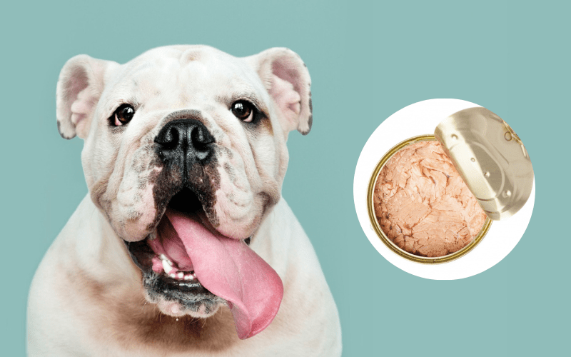 Can Dogs Eat Canned Chicken? The Surprising Truth Revealed!
