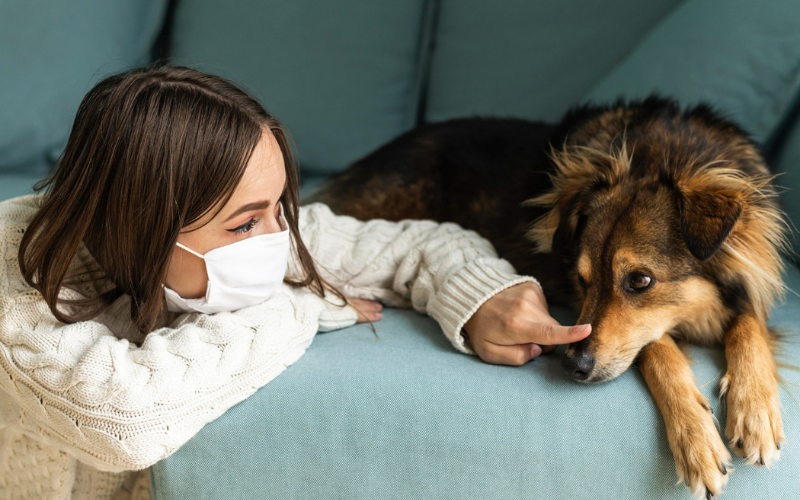 Dog Runny Nose: Everything You Need to Know