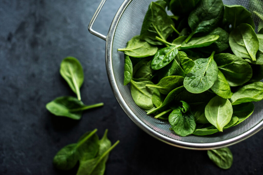 Can Dogs Eat Spinach? Is Spinach Good For Dogs?
