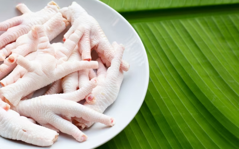 Can Dogs Eat Chicken Feet? Learn Everything You Need to Know