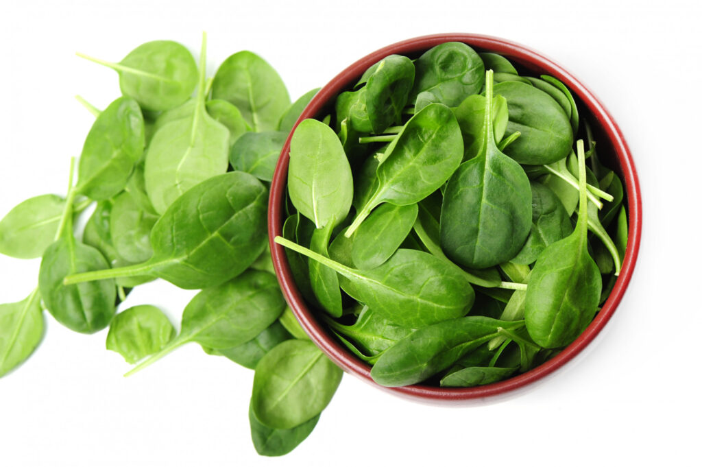 Can Dogs Eat Spinach? Is Spinach Good For Dogs?
