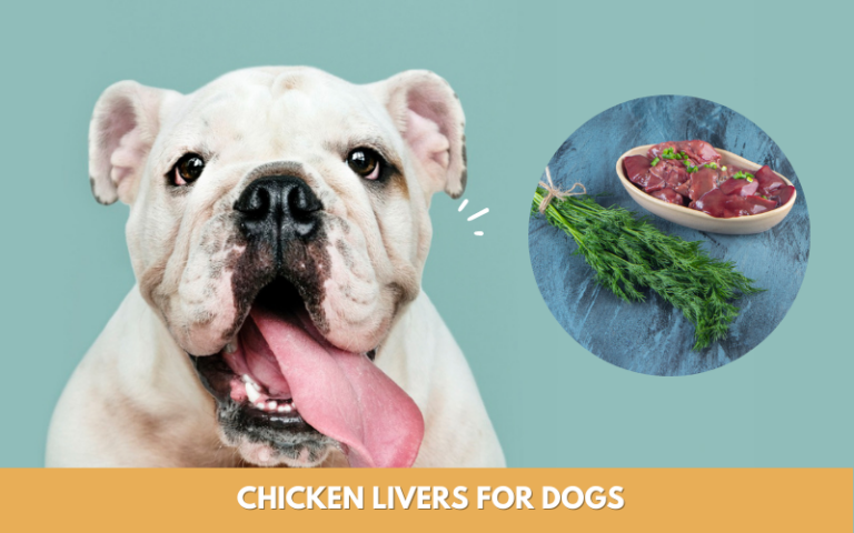 how-to-prepare-chicken-livers-for-dogs-in-5-steps