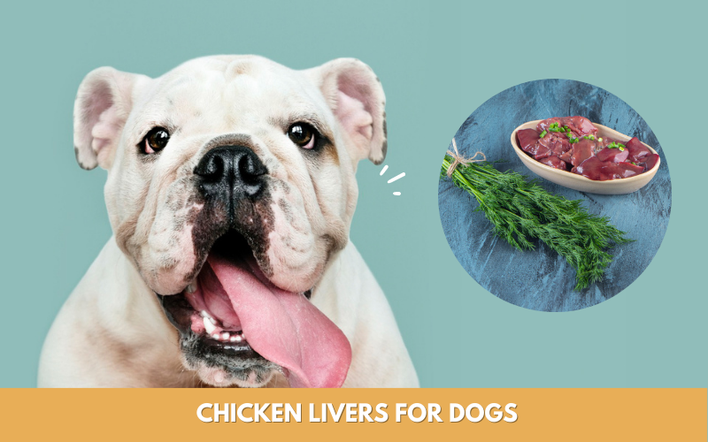 chicken livers for dogs