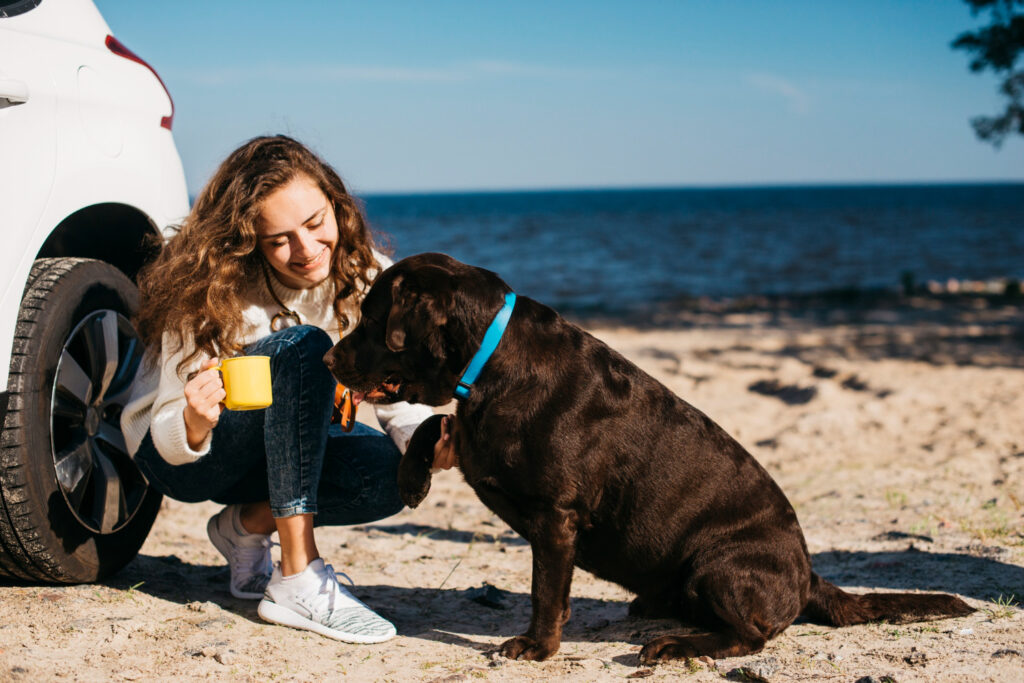 Can Dogs Drink Soda? The Truth About Dogs and Soda