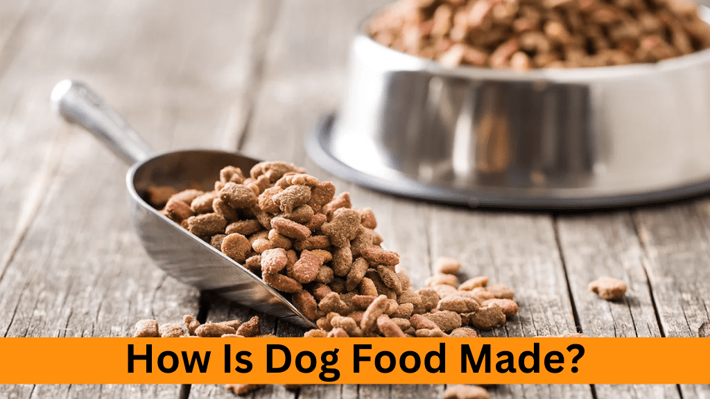 how dog food is made